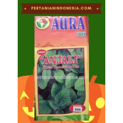 Benih Bayam Anjali