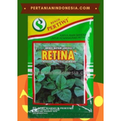 Bayam Retina