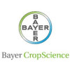 BAYER