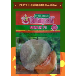 Benih Melon Merlin