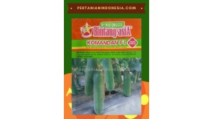 Benih Mentimun Komandan