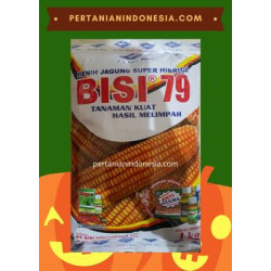 Benih Bisi 79