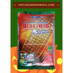Benih Bisi 816