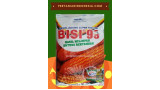 Benih Bisi 99
