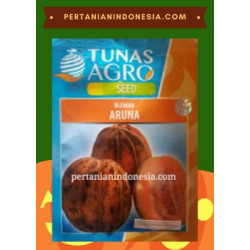 Benih Blewah Aruna