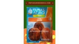 Benih Blewah Aruna