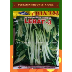 Benih Buncis Lebat 3