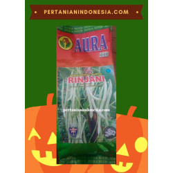 Benih Buncis Rinjani