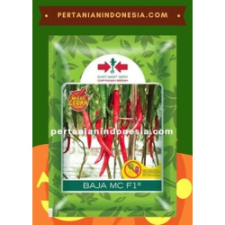Benih Cabe Baja MC F1 Cap Panah Merah