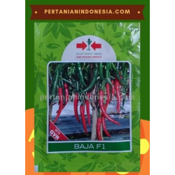 Benih Cabe Baja F1 Cap Panah Merah