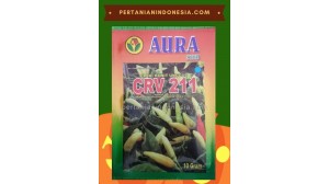 Benih Cabe CRV 211 Aura Seed