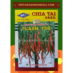 Benih Cabe Flash 750 