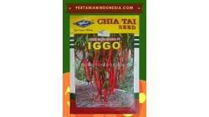 Benih Cabe Iggo 