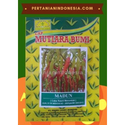 Benih Cabe Madun PT Prabu Agro Mandiri ( Mutiara Bumi )