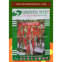 Benih Cabe OR Twist 42 