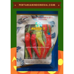 Benih Cabe Patra 3 