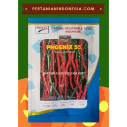 Benih Cabe Phoenix 
