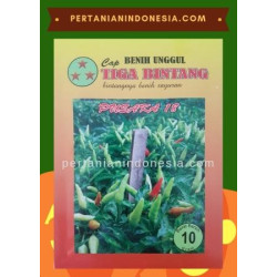 Benih Cabe Rawit Pusaka 18  