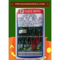 Benih Cabe Red Kriss 