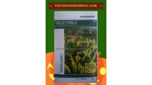 Benih Cabe Saka Geni 