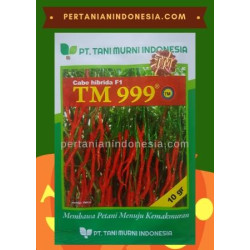 Benih Cabe TM 999 