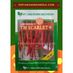 Benih Cabe TM Scarlet 