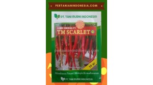 Benih Cabe TM Scarlet 