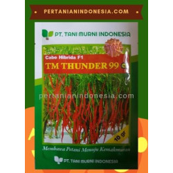 Benih Cabe TM Thunder 99 