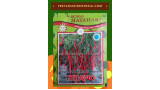 Benih Cabe Terano Matahari Seed