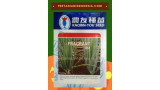 Benih Daun Bawang Fragrant