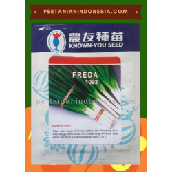 Benih Daun Bawang Freda