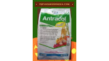 Fungisida Antracol 70 WP