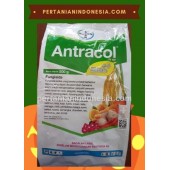 Fungisida Antracol 70 WP