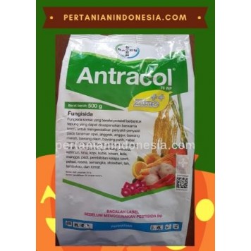 Fungisida Antracol 70 WP