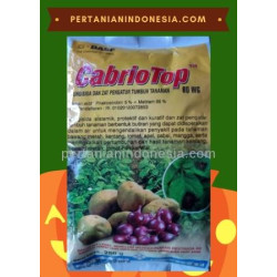 Fungisida CabrioTop 60 WG
