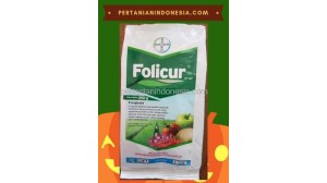 Fungisida Folicur 25 WP