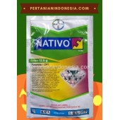 Fungisida Nativo Bayer