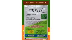 Fungisida Sirkus 50 WP