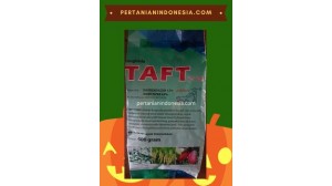 Fungisida Taft 75 WP