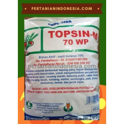 Topsin-M 70 WP
