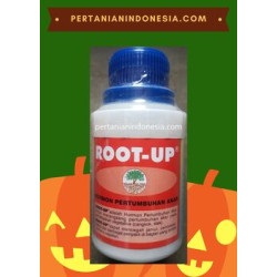 Hormon Root Up