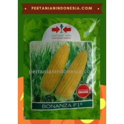 Benih Jagung Manis Bonanza F1