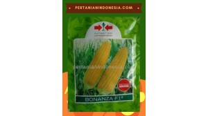 Benih Jagung Manis Bonanza F1