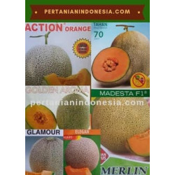 Melon Rock 
