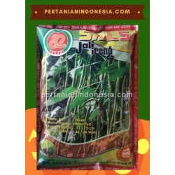 Benih Kacang Panjang Jali Ireng