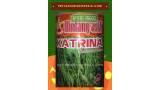 Benih Kacang Panjang Katrina