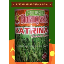 Benih Kacang Panjang Katrina