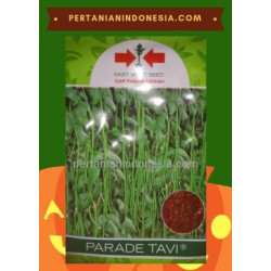 Benih Kacang Panjang Parade Tavi