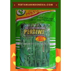 Benih Kacang Panjang Pertiwi