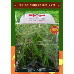 Benih Kangkung Serimpi